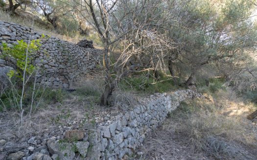 Una finca con pendiente pronunciada (768)