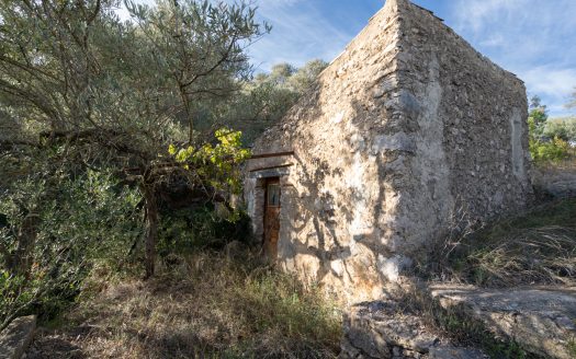 Una finca con pendiente pronunciada (768)