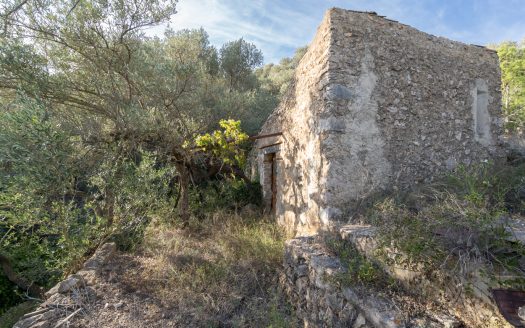 Una finca con pendiente pronunciada (768)