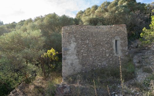 Una finca amb pendent pronunciada (768)