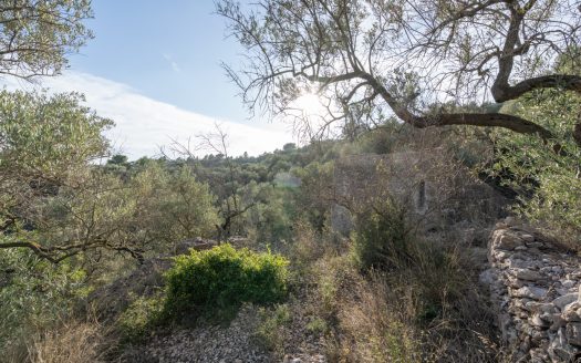 A property on a slope (768)