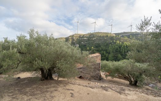 Que la força t’acompanyi (769)