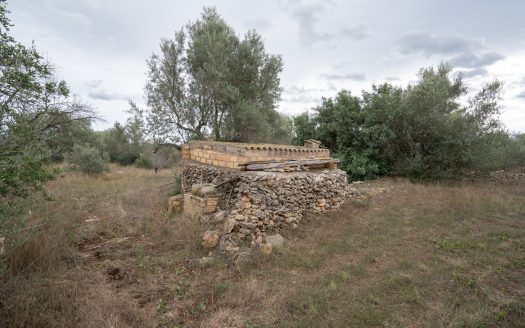 Finca plana amb aigua de pou comunitari (774)