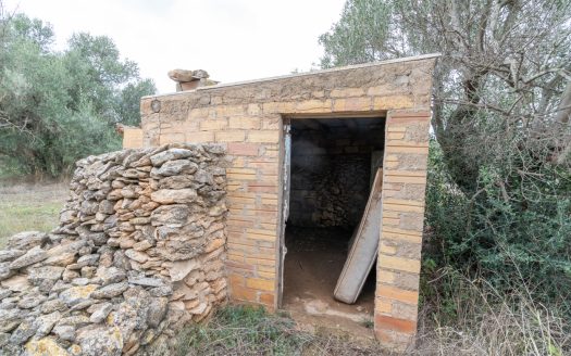 Finca plana amb aigua de pou comunitari (774)