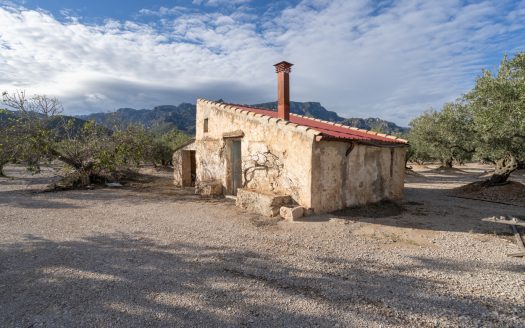 Finca de 3 hectàrees amb aigua de reg (777)