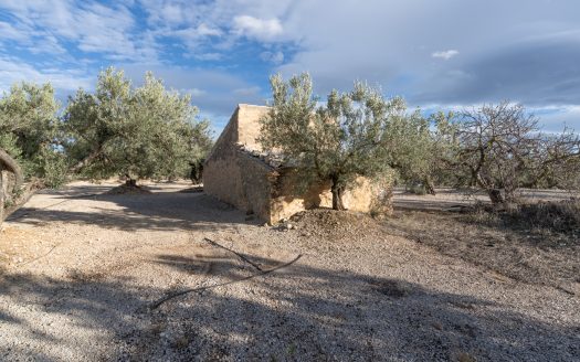 Finca de 3 hectàrees amb aigua de reg (777)