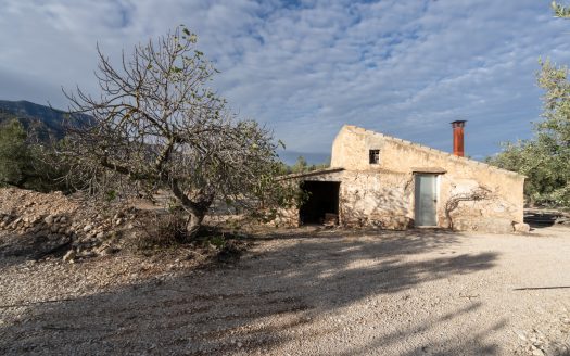 Finca de 3 hectàrees amb aigua de reg (777)