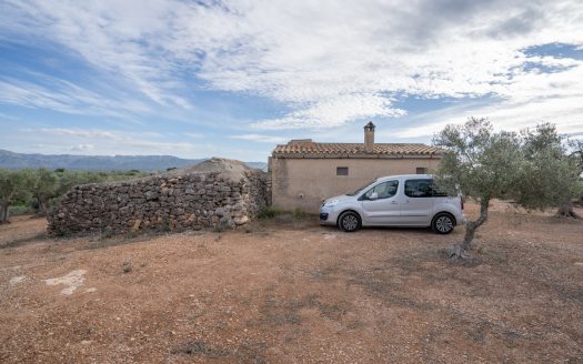 Finca de olivos en producción (780)