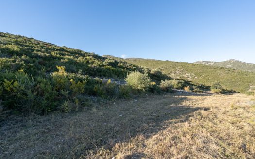 Descomunal finca amb una masia per a restaurar (782)