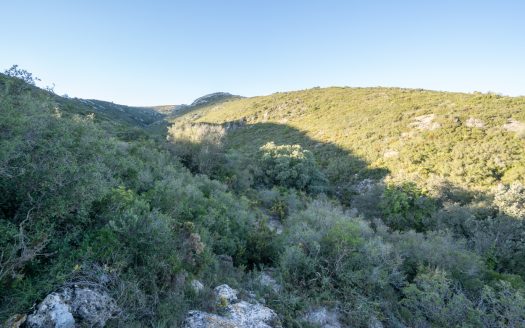 Descomunal finca amb una masia per a restaurar (782)