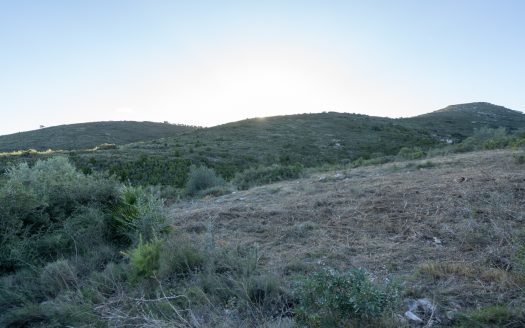 Descomunal finca amb una masia per a restaurar (782)