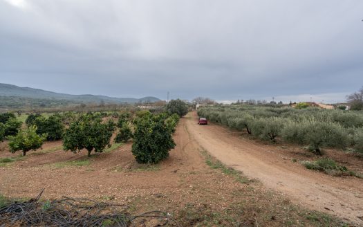 Three warehouses near the village (789)