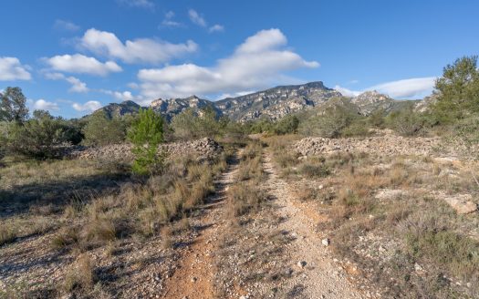 Gran ruina para reconstruir (810)