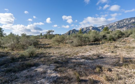 Gran ruina para reconstruir (810)