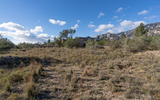 Gran ruina para reconstruir (810)