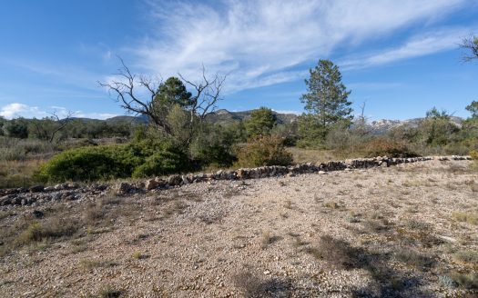 Small land with olive trees and a nice view (818)