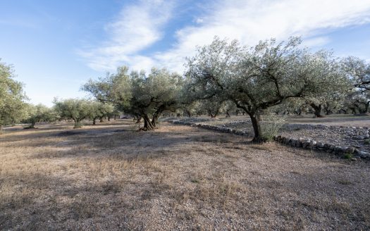 Casa de camp amb encant (814)