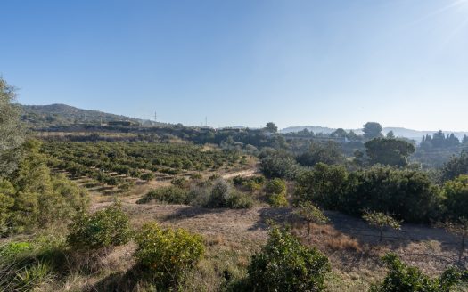 Descomunal finca con casa para vivir (815)