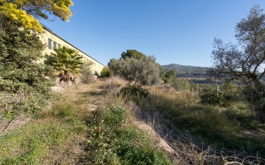 Descomunal finca con casa para vivir (815)