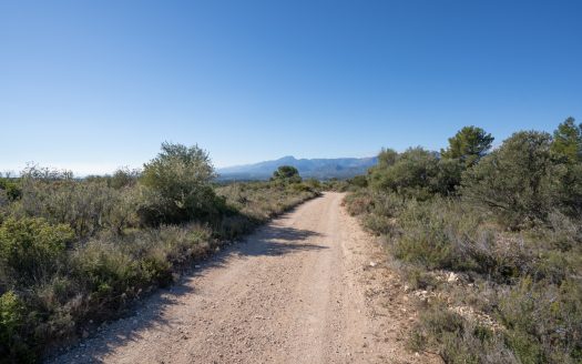 Finca sin cultivo (819)