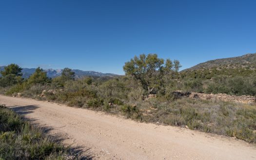 Finca sin cultivo (819)