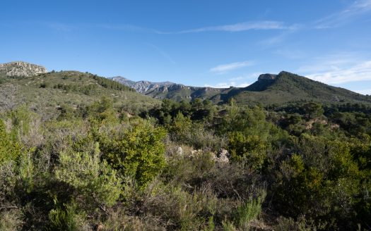 Una finca rocosa y abandonada (850)