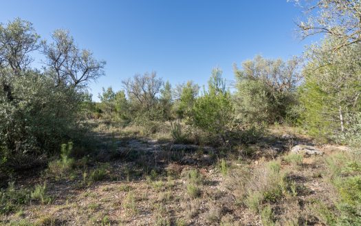 Una finca rocosa i abandonada (850)