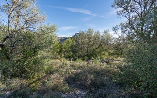 Una finca rocosa i abandonada (850)