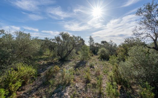 Una finca rocosa i abandonada (850)