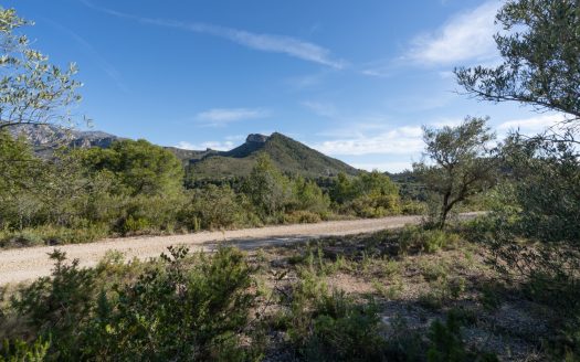 Una finca rocosa i abandonada (850)