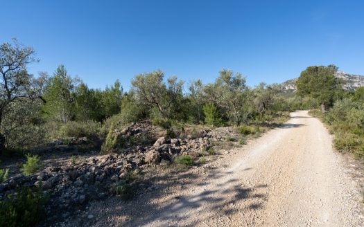 Una finca rocosa y abandonada (850)