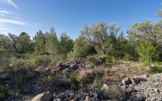 Una finca rocosa y abandonada (850)