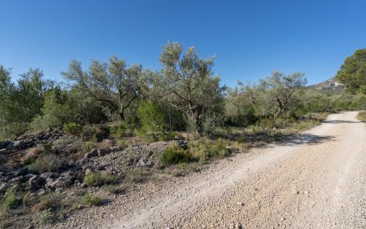 Una finca rocosa y abandonada (850)