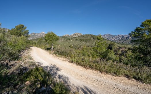 Una finca rocosa y abandonada (850)