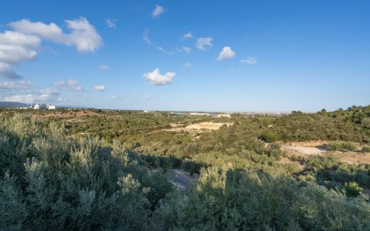 Bonita y acogedora casa de campo (853)