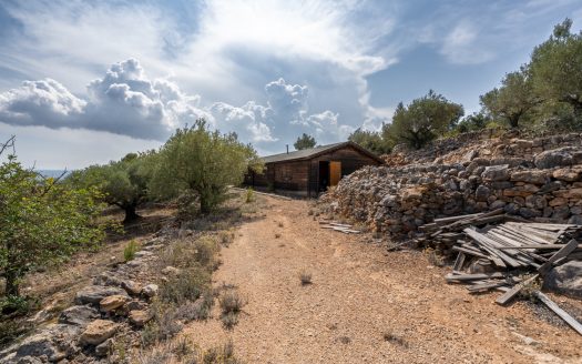 Les millors vistes amb una casa de fusta (869)