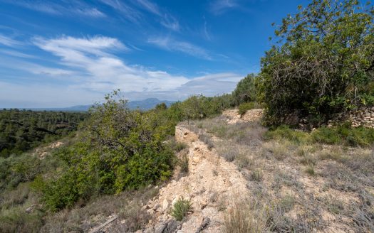 La clau és l’aigua (875)