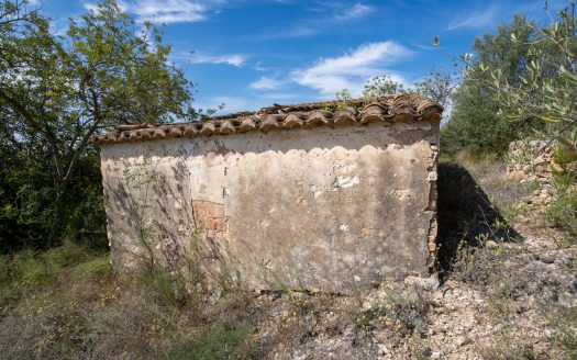 La clave es tener agua (875)