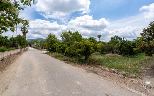 Huerto con naranjos cerca del río (876)