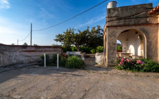 Big farm of tangerines with a house (882)