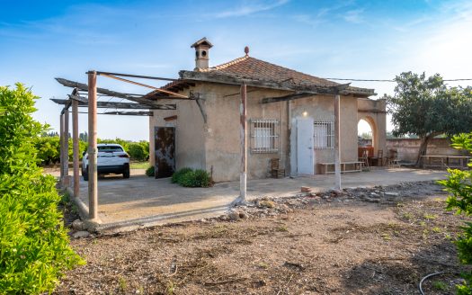 Big farm of tangerines with a house (882)