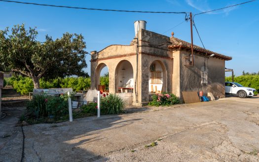 Big farm of tangerines with a house (882)