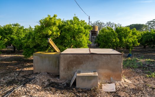 Big farm of tangerines with a house (882)