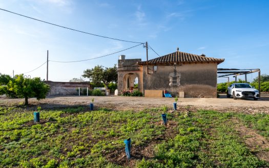 Big farm of tangerines with a house (882)