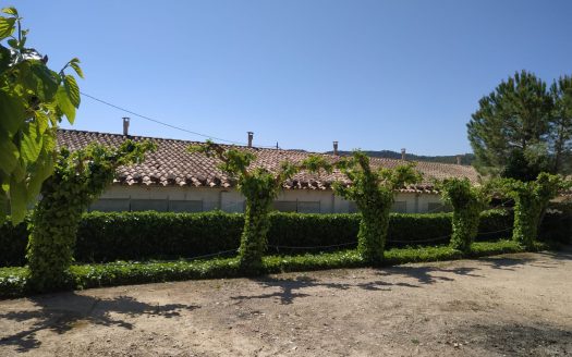 Farmhouse in Caseres (886)