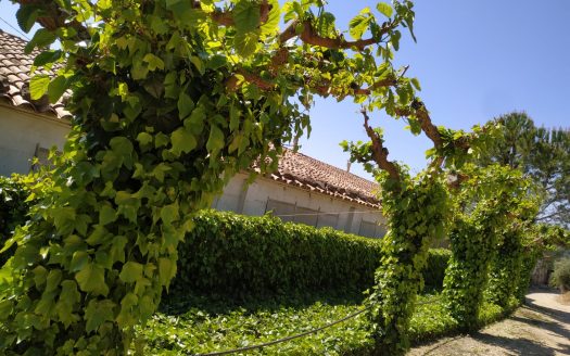 Farmhouse in Caseres (886)