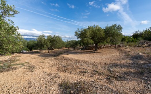 Vistas rurales (900)