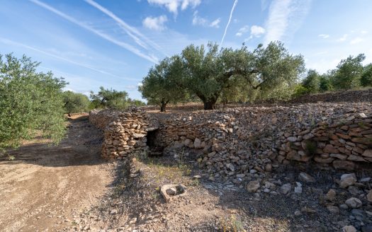 Vistas rurales (900)