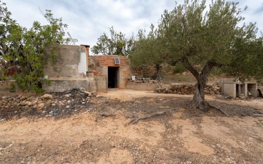 Vistas del valle del río Ebro (906)