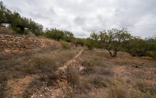 Vistas del valle del río Ebro (906)